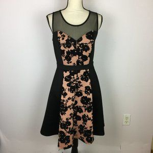 Enfocus Studio Fit & Flare Dress Size 8 Womans Black Knit Velvet Mesh Sleeveless